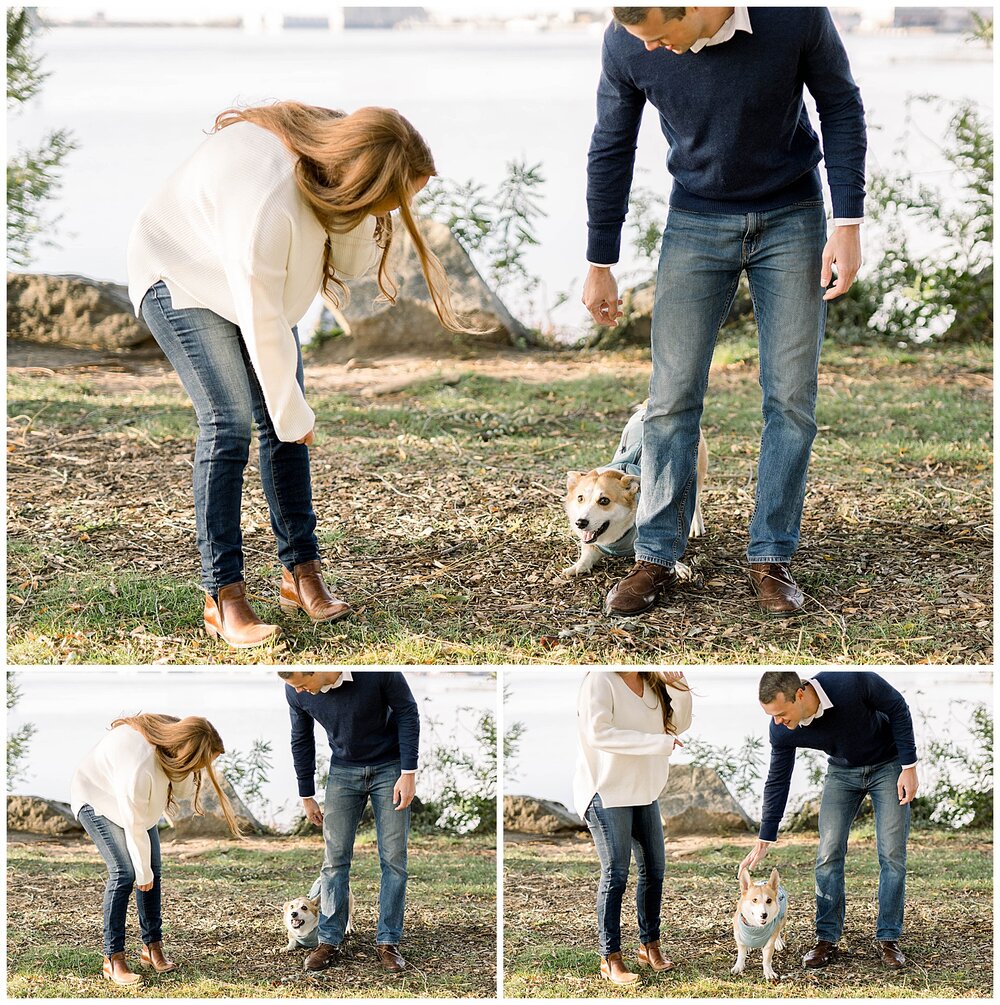 This is a rando dog. We know nothing else about him other than he wanted to say hi.